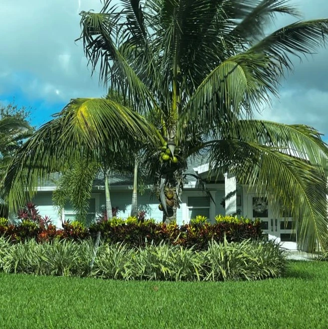 Property Management